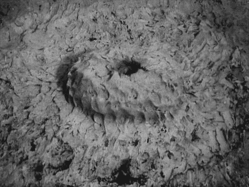 tumblr_mgp78yHpj31ro5y75o1_500