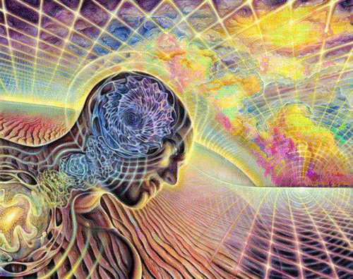 tumblr_mpb6ngmQ241r4btd3o1_500